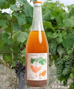 Cul Sec L’etable Fumé – dry and sparkling alcohol-free alternative to orange wine