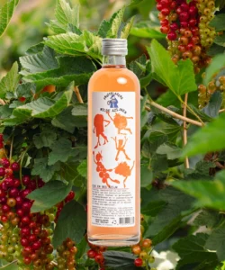 Bottle Bes en Eik vinegar of Fruitslagers – fruity vinegar with berries and oak
