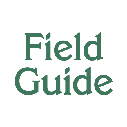 Logo-Fieldguide