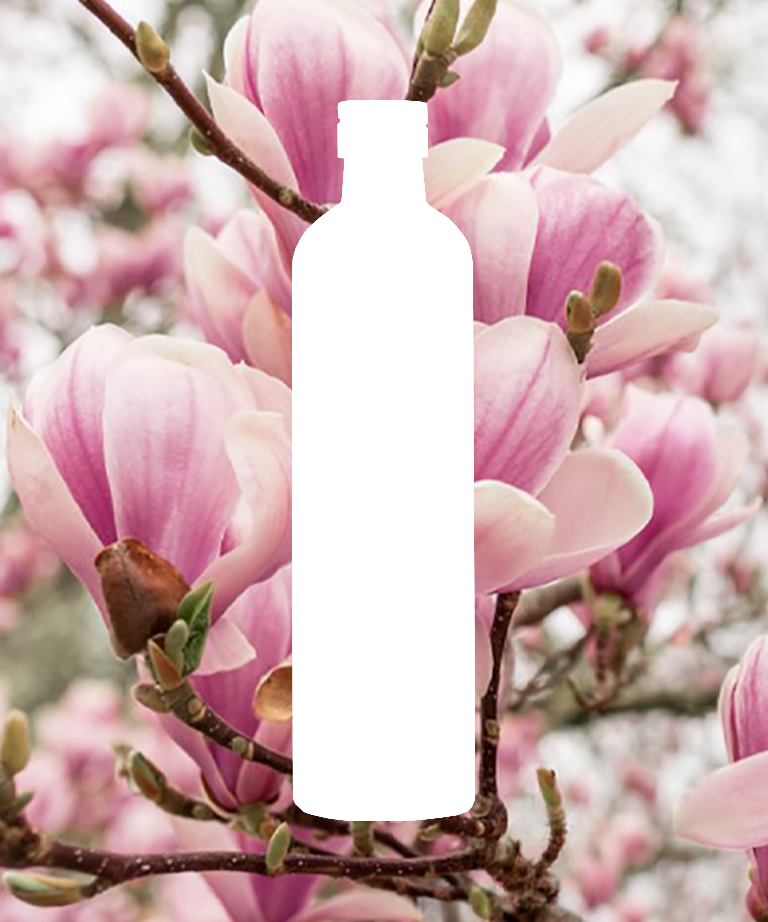 Magnolia azijn