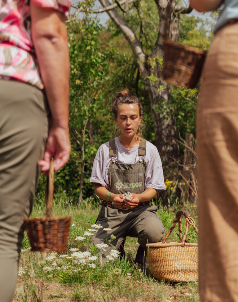 Wild Foraging Workshop Roos van Kroos x Cul Sec-14