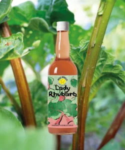 Lady Rhubarb of Roze Bunker – rhubarb fig leaf syrup for soda and mocktails