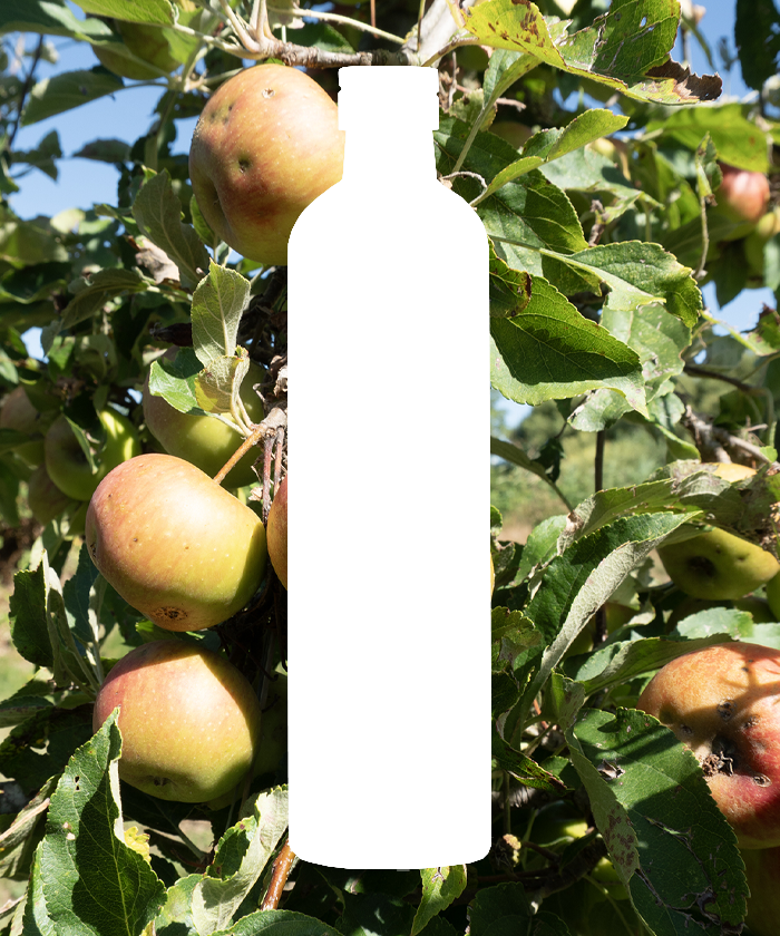 FS2-Appelciderazijn