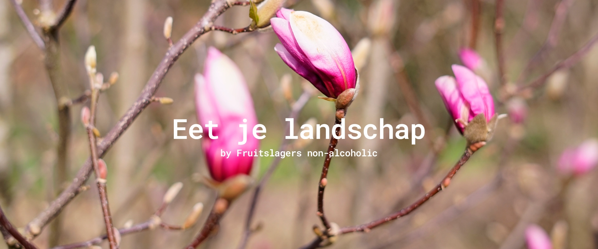 Magnolia bloesem als lokaal ingrediënt uit het landschap