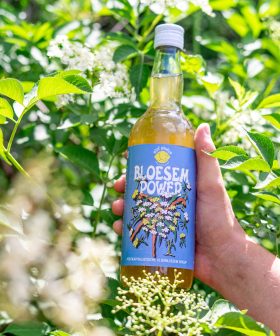 Bloesemazijn_2FS