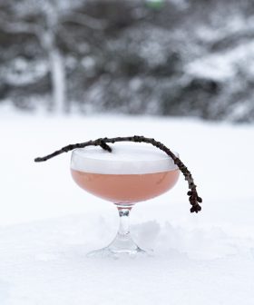 Lady rhubarb2_FS