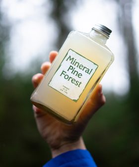 Mineral Pine Forest_2FS