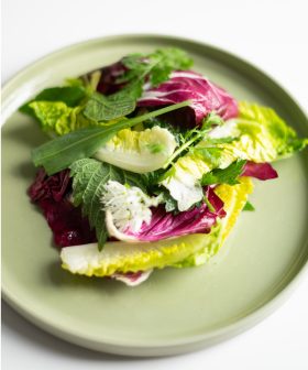 Seizoens salade_FS
