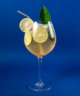 Smoked Lime Spritz-FS