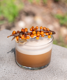 Smoked & Salty duindoorn met duindoorn paradijs-2