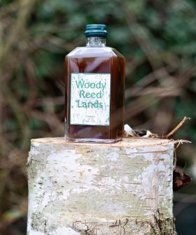 Woody Reed Lands_2FS