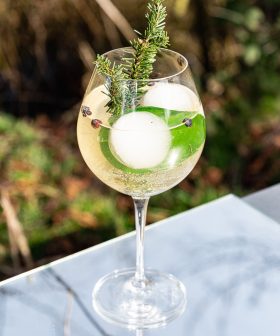 foraged gin tonic_FS