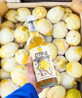 Citrus Movement van Roze Bunker – circulaire citrus basilicum siroop van geredde citroenen