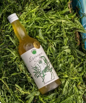 Estragon Sour – alcoholvrije aperitief siroop met dragon, onrijpe druiven en azijn