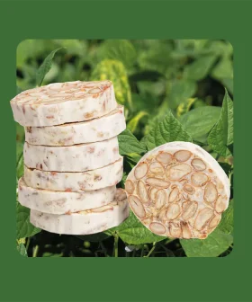 Friese Woudboon Tempeh van Fruitslagers – tempeh van lokaal geteelde Friese Woudbonen