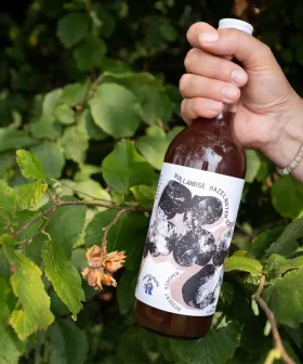 Hollandse Hazelnoot Siroop – siroop van lokale hazelnootpulp uit Zoelen