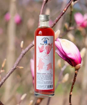 Magnolia Azijn van Fruitslagers – bloemige azijn van magnoliabloemen uit oogst 2026