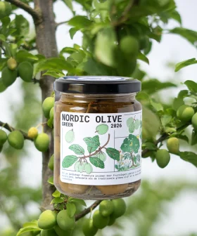Nordic Olive Pruim van Fruitslagers – premature pruimen bereid als groene olijf