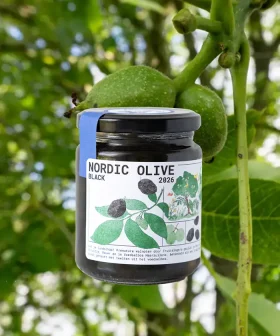Nordic Olive Walnoot van Fruitslagers – premature walnoten bereid als zwarte olijf