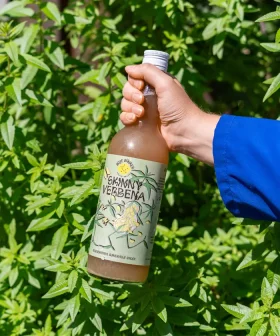 Skinny Verbena van Roze Bunker – suikervrije siroop van lokaal geteelde citroenverbena