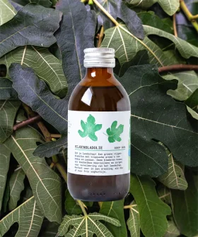 Vijgenblad Olie van Fruitslagers – groene olie met kokos- en pandanaroma uit het voedselbos