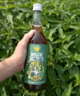 Wilde IJsthee van Roze Bunker – Nederlandse ijsthee siroop met lokale kruiden