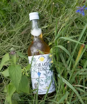 Foraged Tonic van Roze Bunker – tonic siroop met wild geplukte lokale kruiden