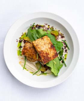 tempeh daslook_FS